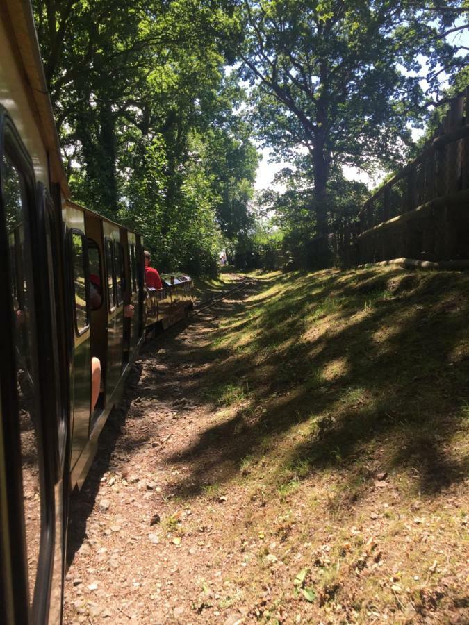 Tente de luxe Bell Tent Glamping At Royal Victoria Country Park